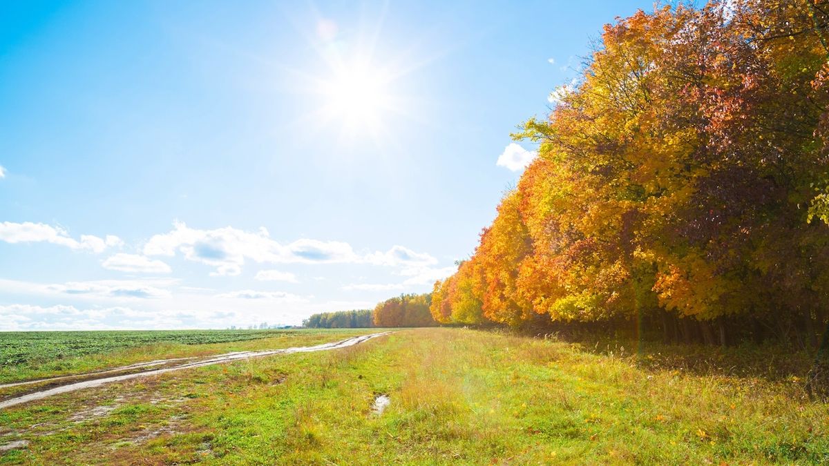 Letošní podzim patřil k nejteplejším za 247 let